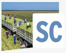 Agriculture & Production Agric